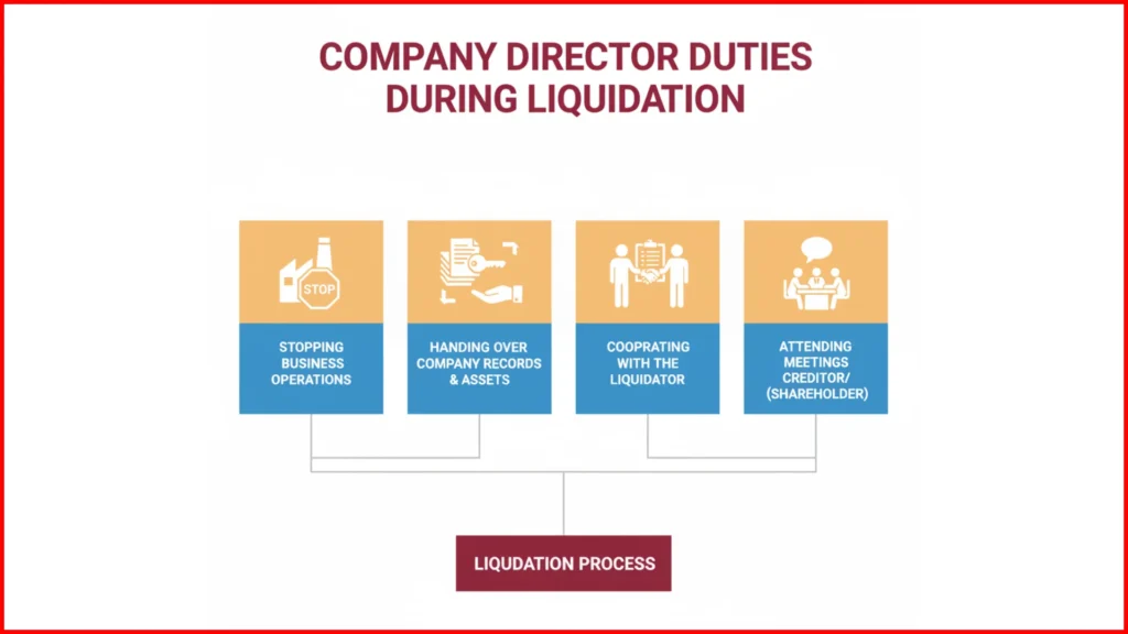 What happens to a director of a company in liquidation 1 Company Liquidation Infograph