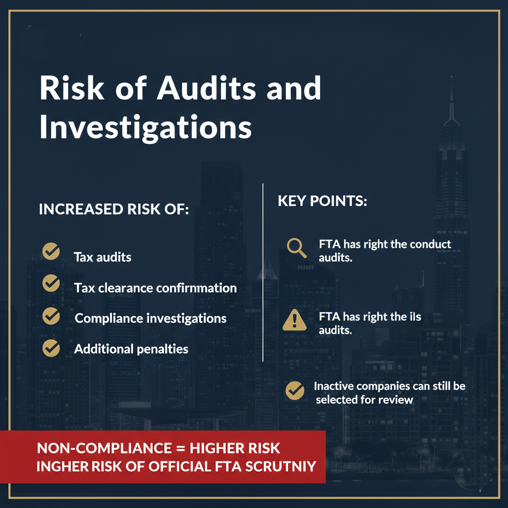 Risk of Audits and Investigations